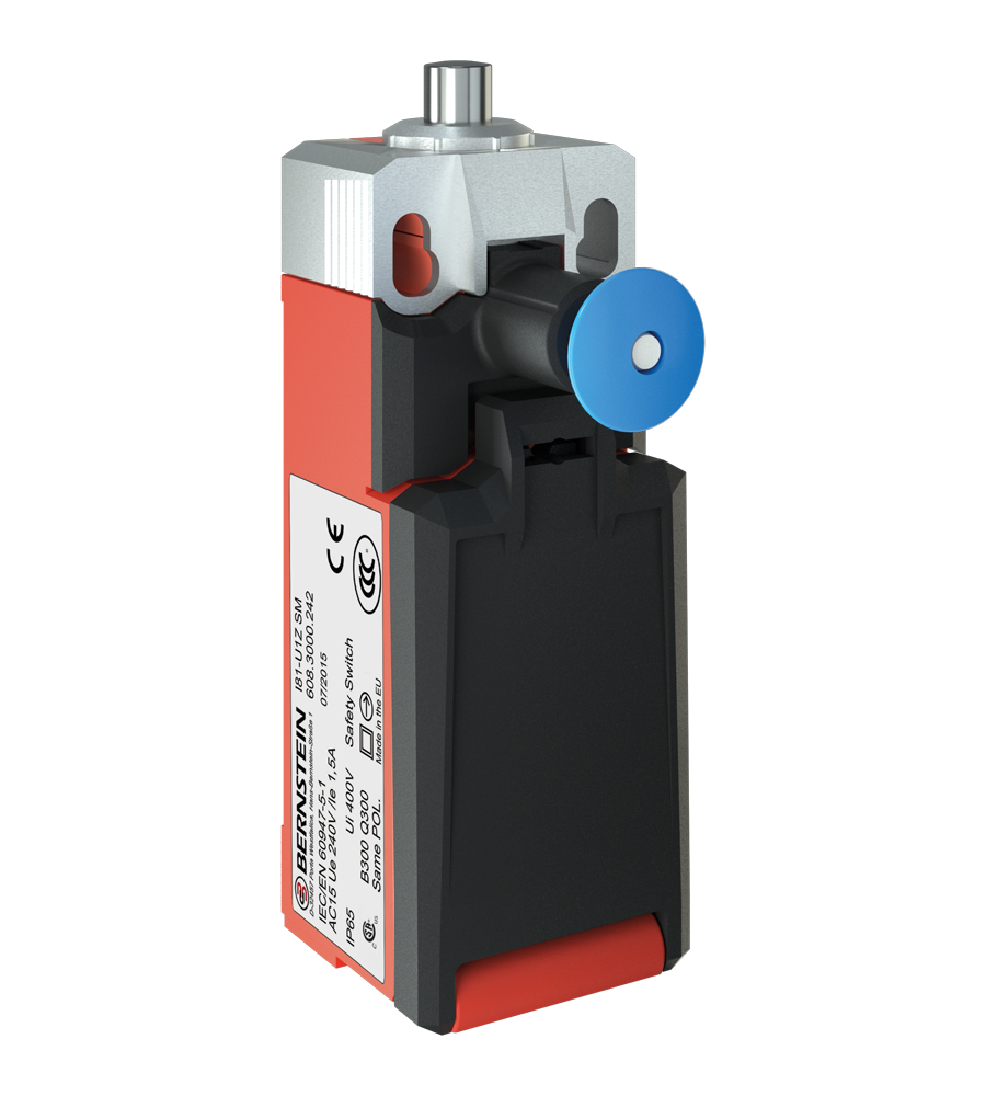 I81 Limit switch